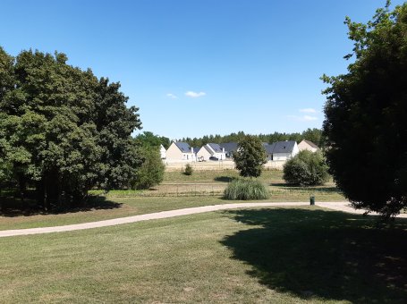 Photo : ARDENNAY SUR MERIZE - LE CLOS DU LEVANT